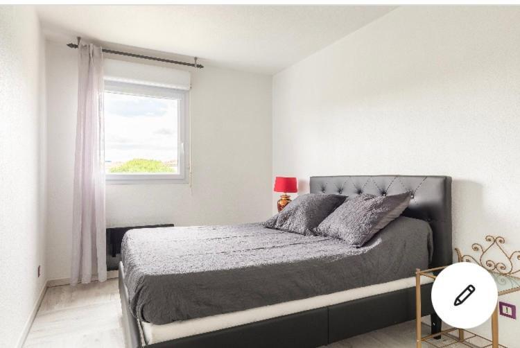 מונפלייה Superbe Appartement T3 Avec Piscine מראה חיצוני תמונה
